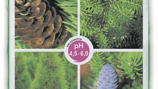 Soil for decorative conifers